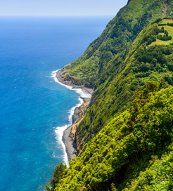 아조레스 제도(Azores Islands)