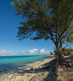 비미니 제도(Bimini Islands)