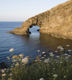 판텔레리아 섬(Pantelleria Island)