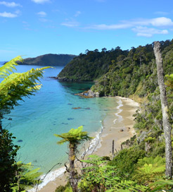 스튜어트 섬(Stewart Island)