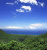 야쿠시마(Yakushima)